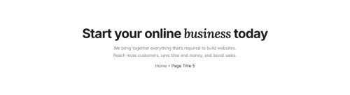 Page Title 5