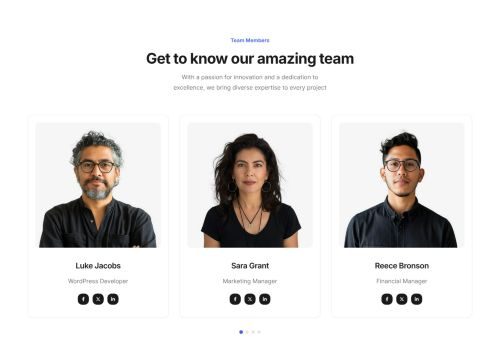 Team Carousel 1