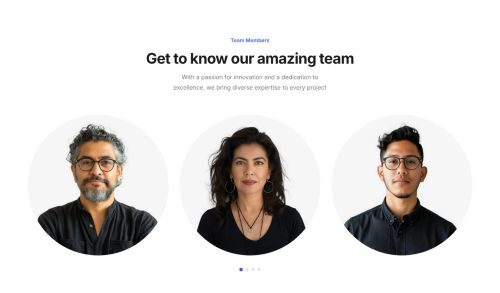 Team Carousel 11
