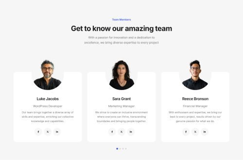 Team Carousel 8