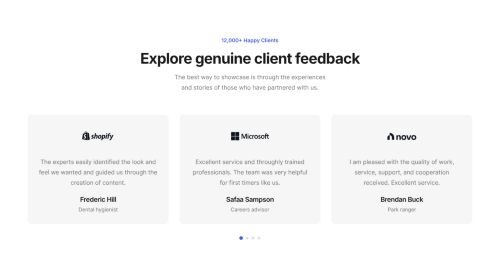 Testimonials Carousel 11